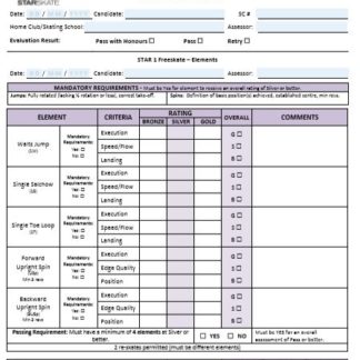 A picture of a Freeskate assessment sheet.