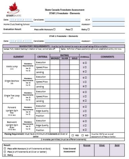 A picture of a Freeskate assessment sheet.