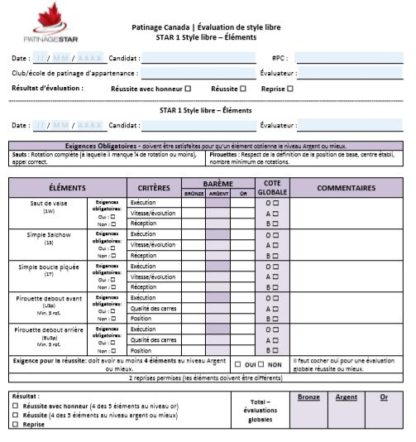 A picture of a Freeskate Element assessment sheet.
