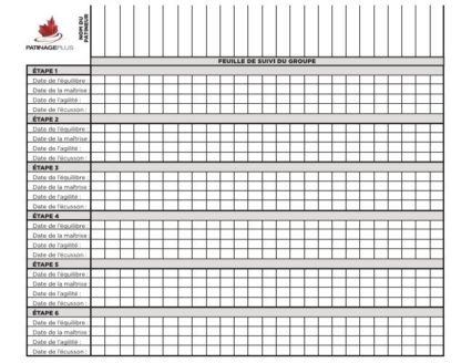 A picture of the CanSkate Award Tracking Sheet.