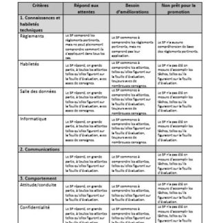 A picture of the Introductory Level Data Specialist assessment rubric.