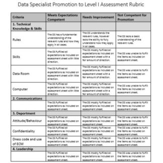 A picture of the Level I Data Specialist assessment rubric.