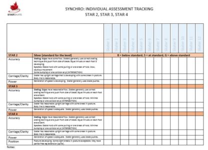 A picture of the Synchro Individual Assessment Tracking sheet.