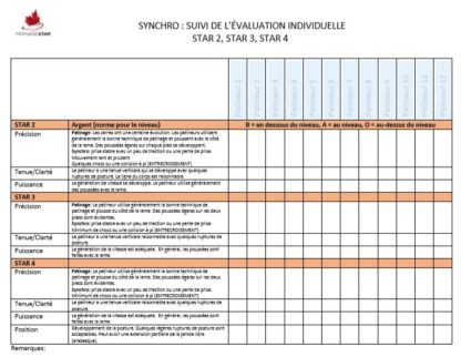 A picture of the Synchro Individual Assessment Tracking sheet.